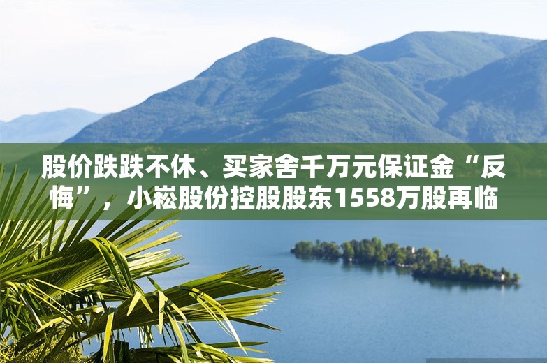 股价跌跌不休、买家舍千万元保证金“反悔”，小崧股份控股股东1558万股再临开拍