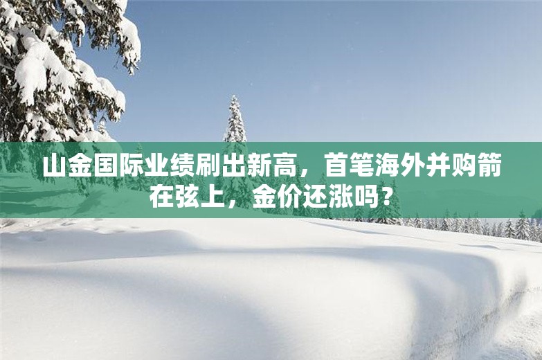 山金国际业绩刷出新高，首笔海外并购箭在弦上，金价还涨吗？