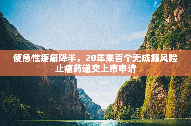 使急性疼痛降半，20年来首个无成瘾风险止痛药递交上市申请