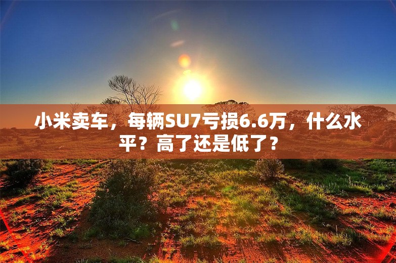 小米卖车，每辆SU7亏损6.6万，什么水平？高了还是低了？