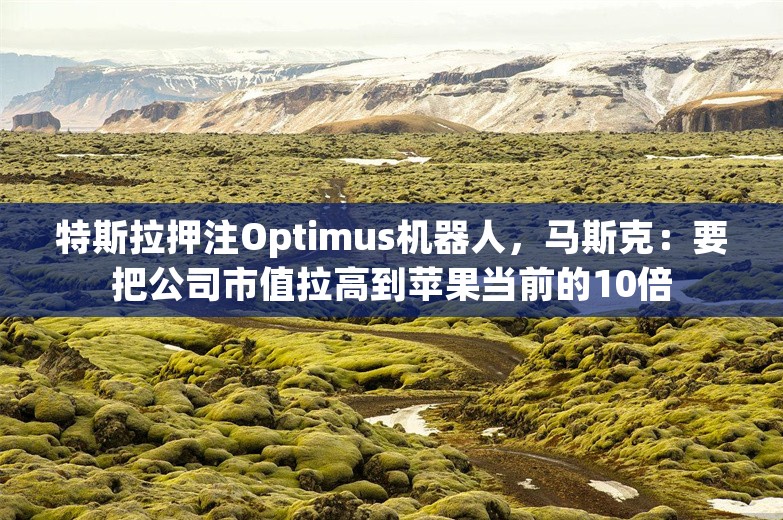 特斯拉押注Optimus机器人，马斯克：要把公司市值拉高到苹果当前的10倍