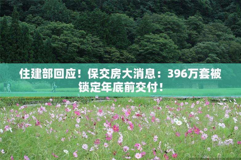 住建部回应！保交房大消息：396万套被锁定年底前交付！