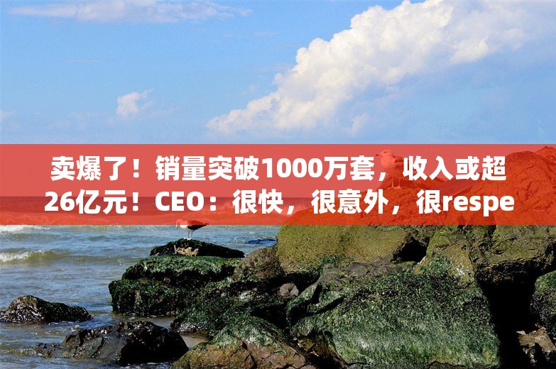 卖爆了！销量突破1000万套，收入或超26亿元！CEO：很快，很意外，很respect