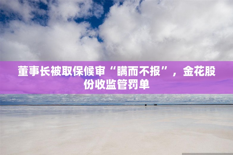 董事长被取保候审“瞒而不报”，金花股份收监管罚单