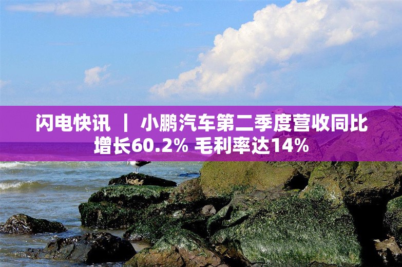 闪电快讯 ｜ 小鹏汽车第二季度营收同比增长60.2% 毛利率达14%