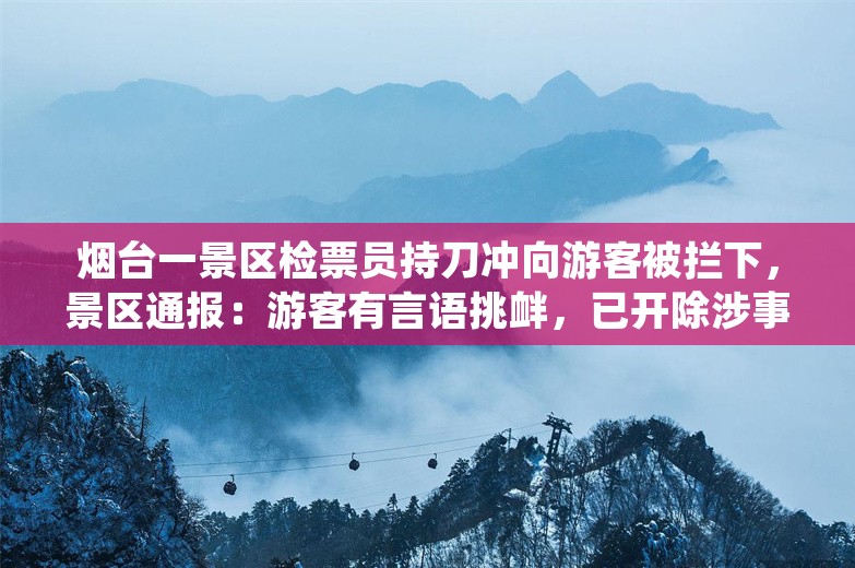 烟台一景区检票员持刀冲向游客被拦下，景区通报：游客有言语挑衅，已开除涉事人员