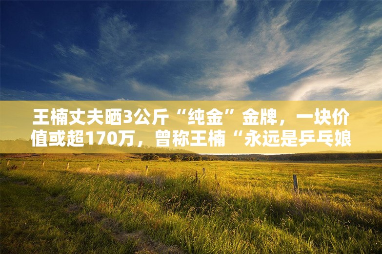 王楠丈夫晒3公斤“纯金”金牌，一块价值或超170万，曾称王楠“永远是乒乓娘家人”