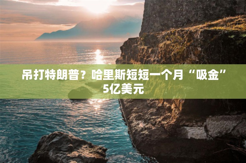 吊打特朗普？哈里斯短短一个月“吸金”5亿美元