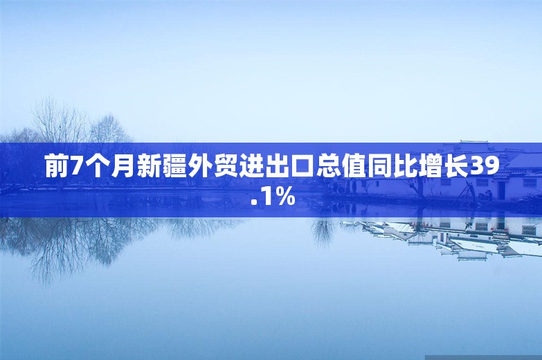 前7个月新疆外贸进出口总值同比增长39.1%