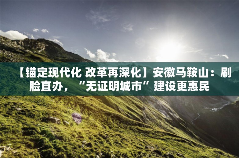 【锚定现代化 改革再深化】安徽马鞍山：刷脸直办，“无证明城市”建设更惠民