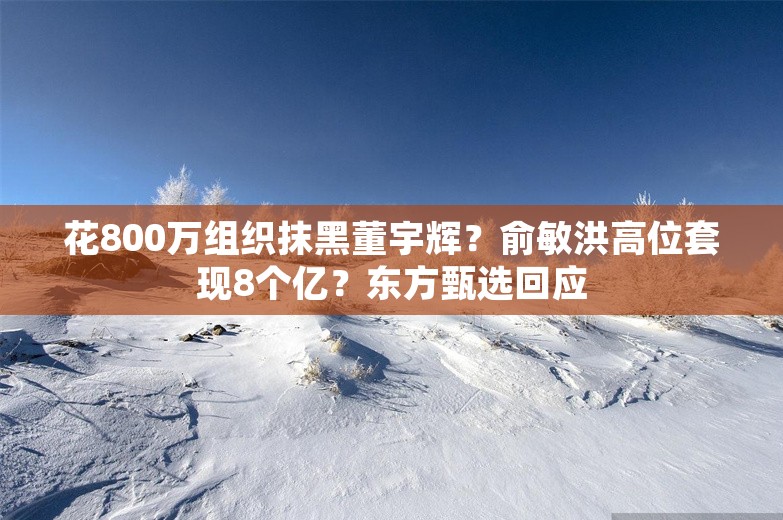 花800万组织抹黑董宇辉？俞敏洪高位套现8个亿？东方甄选回应