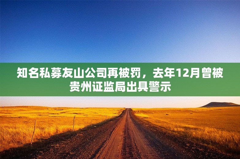 知名私募友山公司再被罚，去年12月曾被贵州证监局出具警示