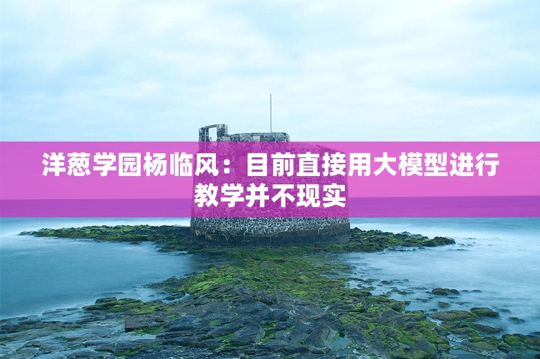 洋葱学园杨临风：目前直接用大模型进行教学并不现实