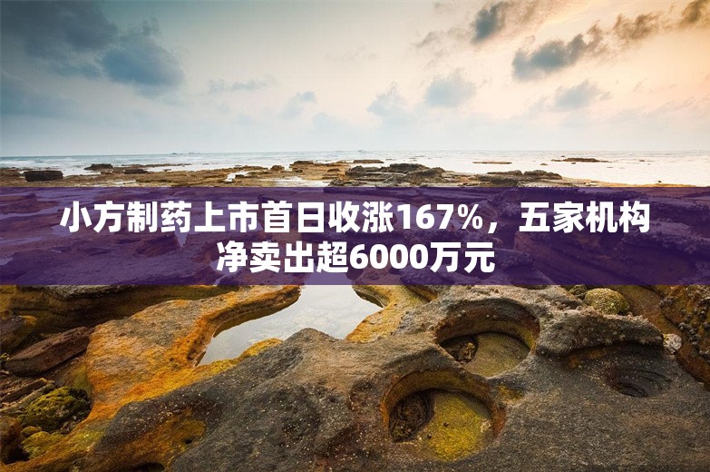 小方制药上市首日收涨167%，五家机构净卖出超6000万元