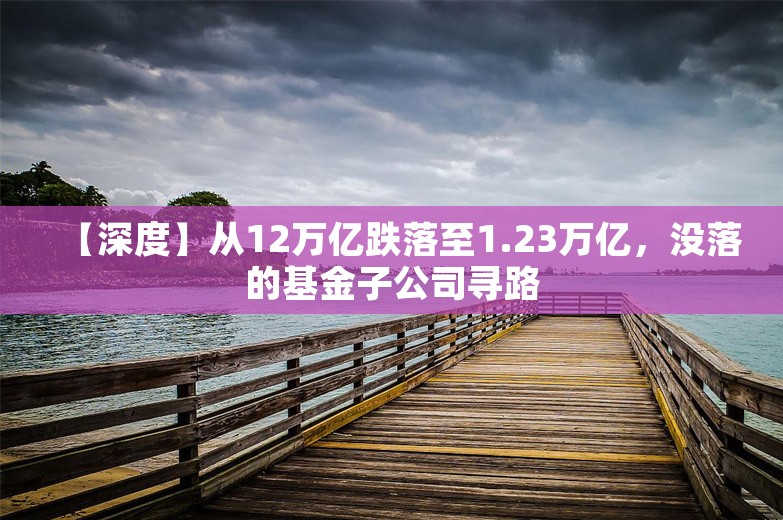 【深度】从12万亿跌落至1.23万亿，没落的基金子公司寻路