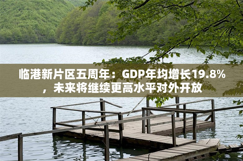 临港新片区五周年：GDP年均增长19.8%，未来将继续更高水平对外开放