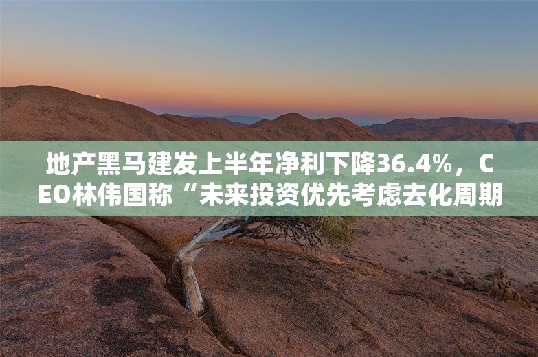 地产黑马建发上半年净利下降36.4%，CEO林伟国称“未来投资优先考虑去化周期”