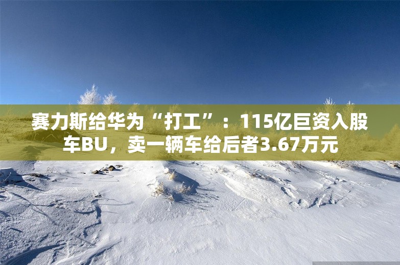 赛力斯给华为“打工”：115亿巨资入股车BU，卖一辆车给后者3.67万元