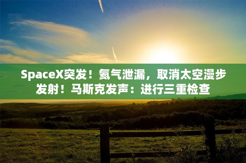 SpaceX突发！氦气泄漏，取消太空漫步发射！马斯克发声：进行三重检查