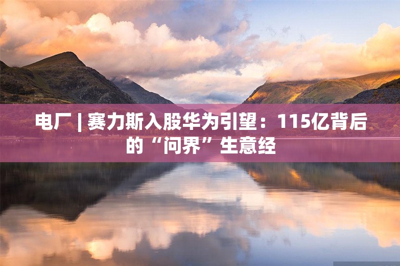 电厂 | 赛力斯入股华为引望：115亿背后的“问界”生意经