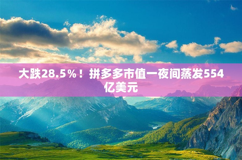 大跌28.5％！拼多多市值一夜间蒸发554亿美元