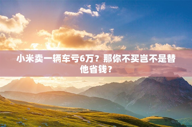 小米卖一辆车亏6万？那你不买岂不是替他省钱？