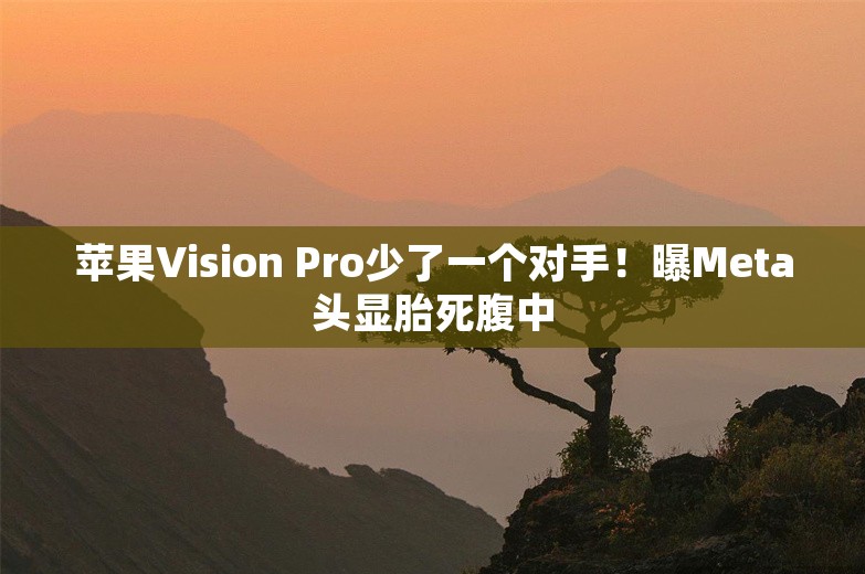 苹果Vision Pro少了一个对手！曝Meta头显胎死腹中