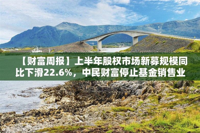 【财富周报】上半年股权市场新募规模同比下滑22.6%，中民财富停止基金销售业务