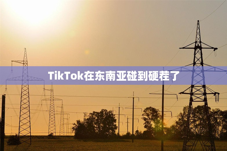 TikTok在东南亚碰到硬茬了