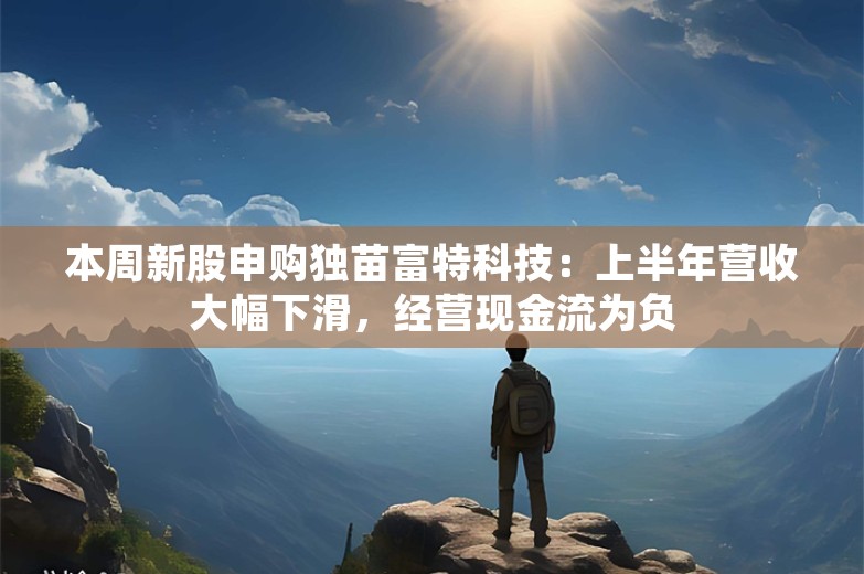 本周新股申购独苗富特科技：上半年营收大幅下滑，经营现金流为负