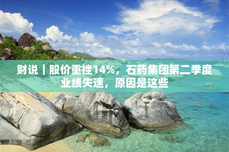 财说｜股价重挫14%，石药集团第二季度业绩失速，原因是这些