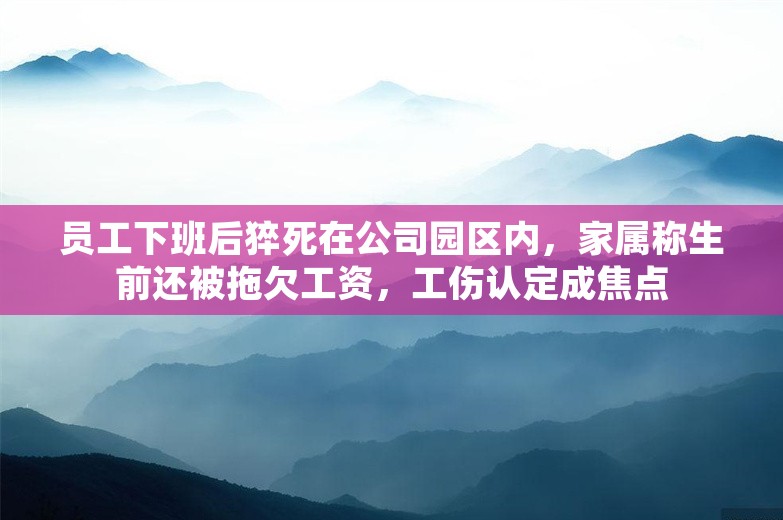 员工下班后猝死在公司园区内，家属称生前还被拖欠工资，工伤认定成焦点