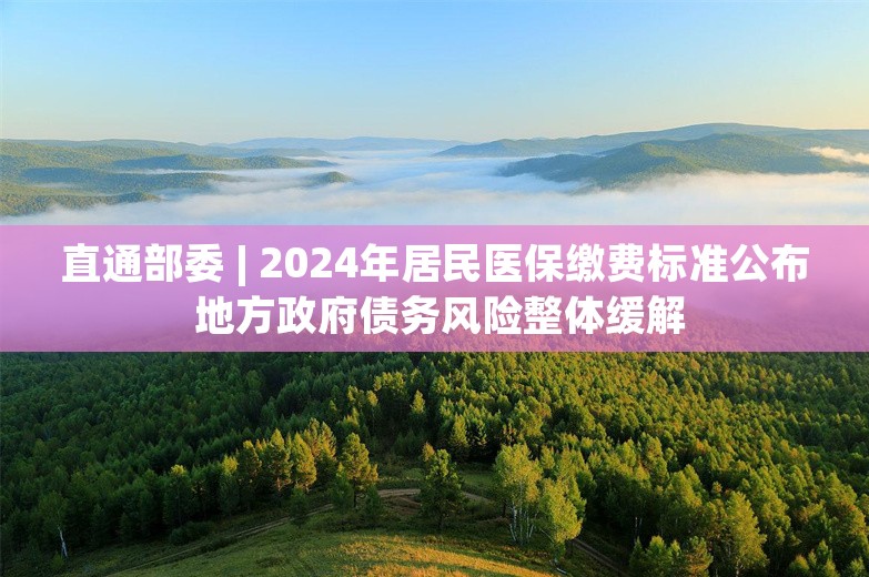 直通部委 | 2024年居民医保缴费标准公布 地方政府债务风险整体缓解