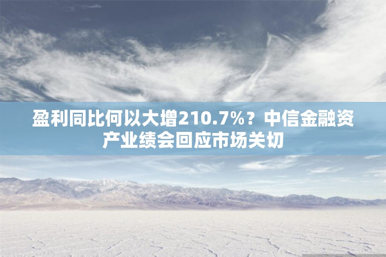 盈利同比何以大增210.7%？中信金融资产业绩会回应市场关切