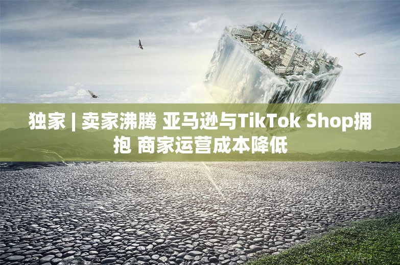 独家 | 卖家沸腾 亚马逊与TikTok Shop拥抱 商家运营成本降低