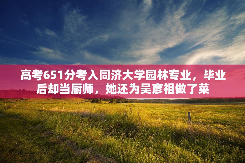 高考651分考入同济大学园林专业，毕业后却当厨师，她还为吴彦祖做了菜