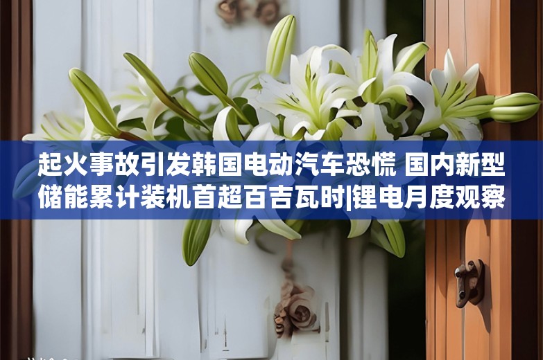 起火事故引发韩国电动汽车恐慌 国内新型储能累计装机首超百吉瓦时|锂电月度观察⑧