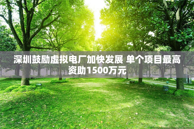 深圳鼓励虚拟电厂加快发展 单个项目最高资助1500万元