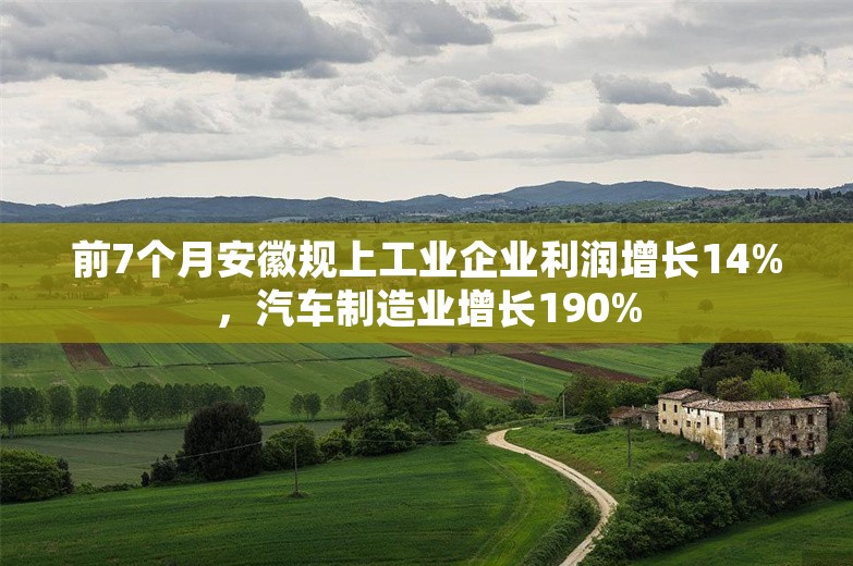 前7个月安徽规上工业企业利润增长14%，汽车制造业增长190%