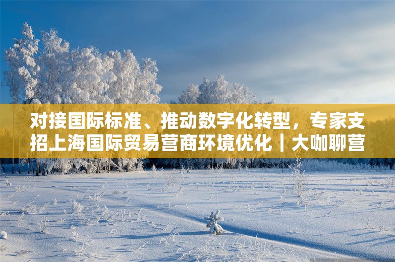 对接国际标准、推动数字化转型，专家支招上海国际贸易营商环境优化｜大咖聊营商