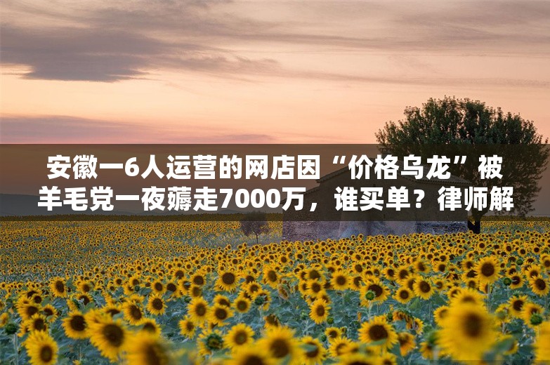 安徽一6人运营的网店因“价格乌龙”被羊毛党一夜薅走7000万，谁买单？律师解读