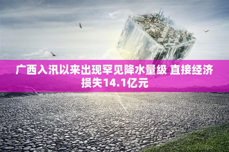 广西入汛以来出现罕见降水量级 直接经济损失14.1亿元