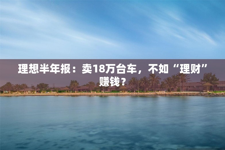 理想半年报：卖18万台车，不如“理财”赚钱？