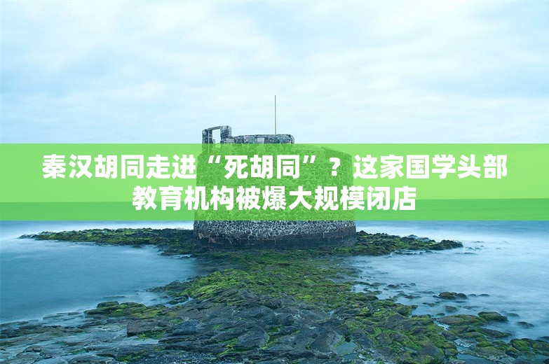 秦汉胡同走进“死胡同”？这家国学头部教育机构被爆大规模闭店