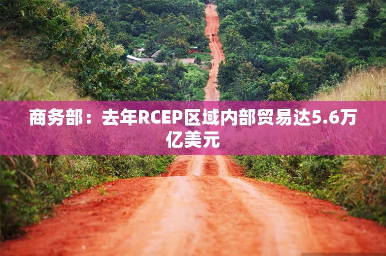 商务部：去年RCEP区域内部贸易达5.6万亿美元