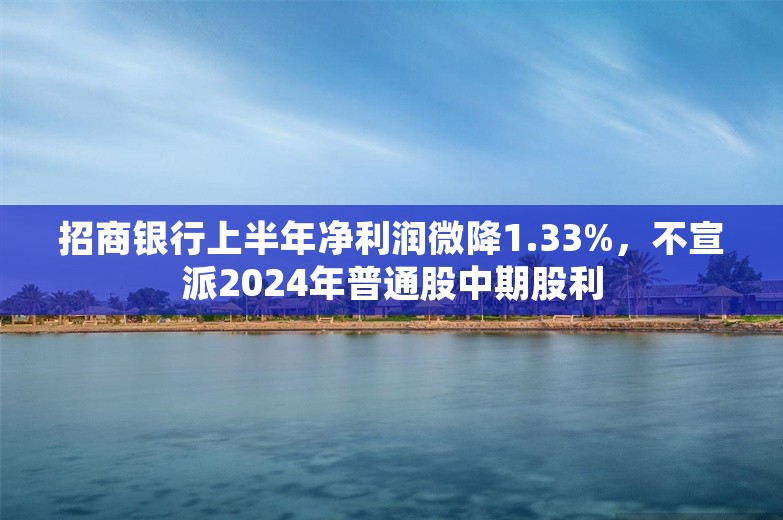 招商银行上半年净利润微降1.33%，不宣派2024年普通股中期股利