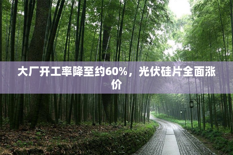 大厂开工率降至约60%，光伏硅片全面涨价