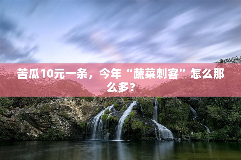 苦瓜10元一条，今年“蔬菜刺客”怎么那么多？