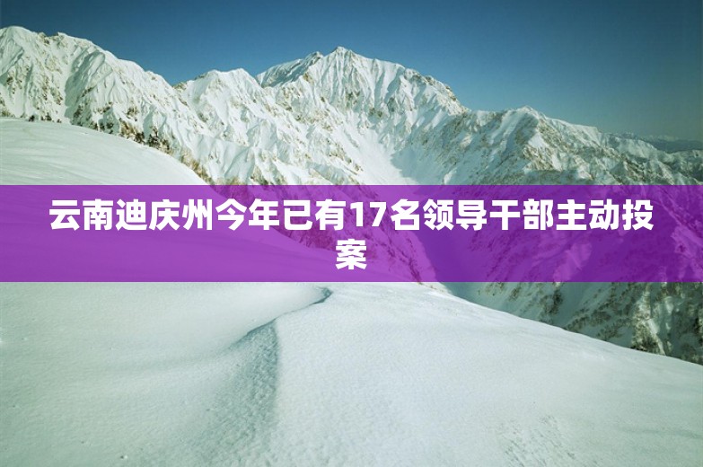 云南迪庆州今年已有17名领导干部主动投案