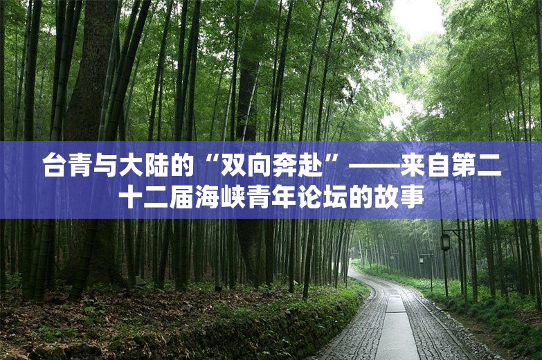 台青与大陆的“双向奔赴”——来自第二十二届海峡青年论坛的故事